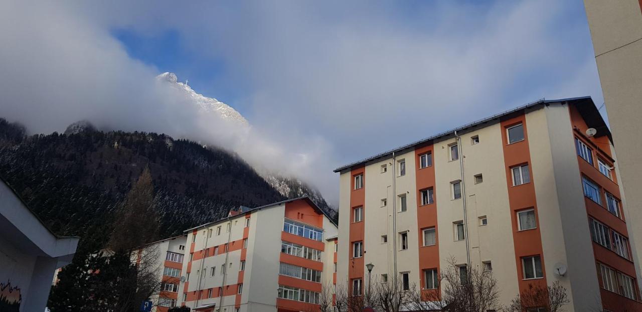 Apartament Silva Буштени Экстерьер фото